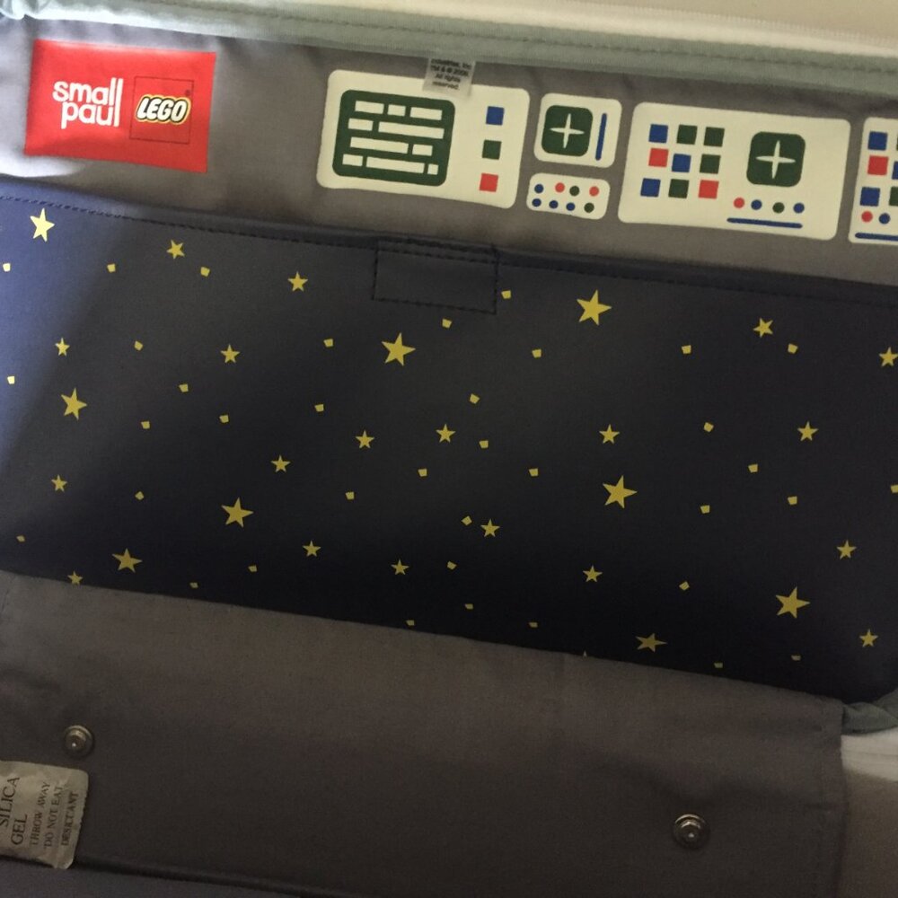 NEW LEGO / Paul Frank Collaboration Classic Space Limited Edition 15x9x3 Bag - Picture 8 of 10